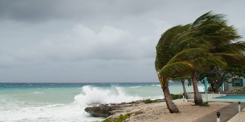 Ilustración de portada: Se forma la tormenta tropical Dolly en el Atlántico, sin amenaza directa por ahora para República Dominicana